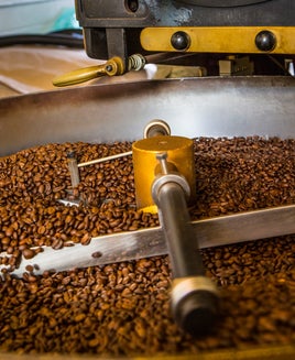 Which coffee loyalty program is best: Starbucks, Dunkin' or Dutch Bros?