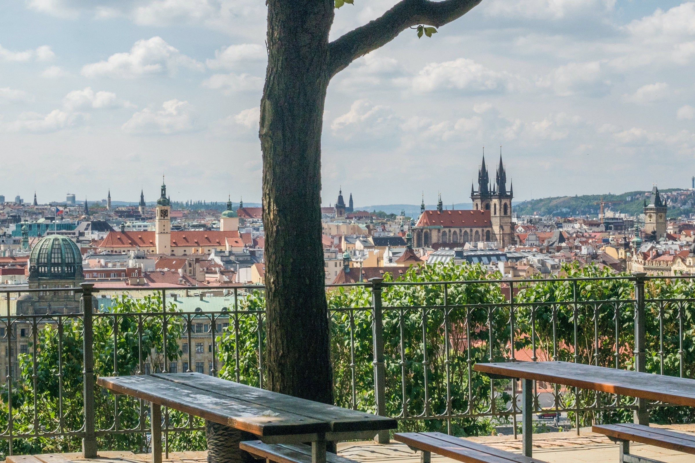 Letna Beer Garden
