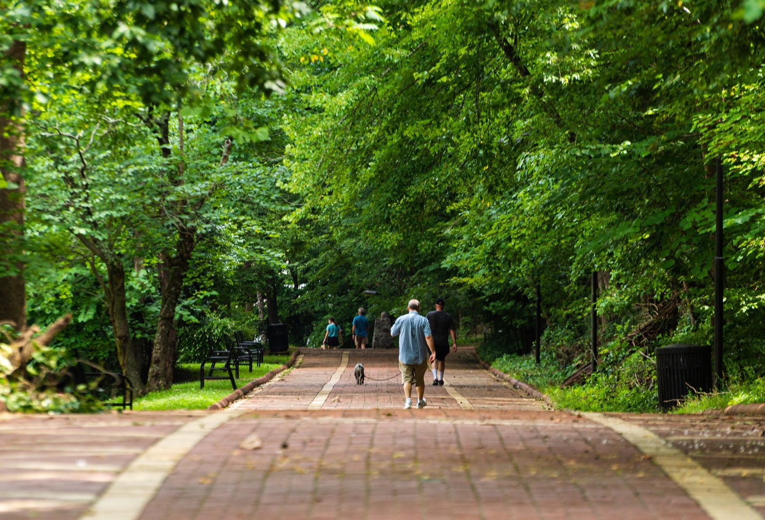 A red brick path heads off into the distance with a man walking away in the center, and surrounded by bright green trees.