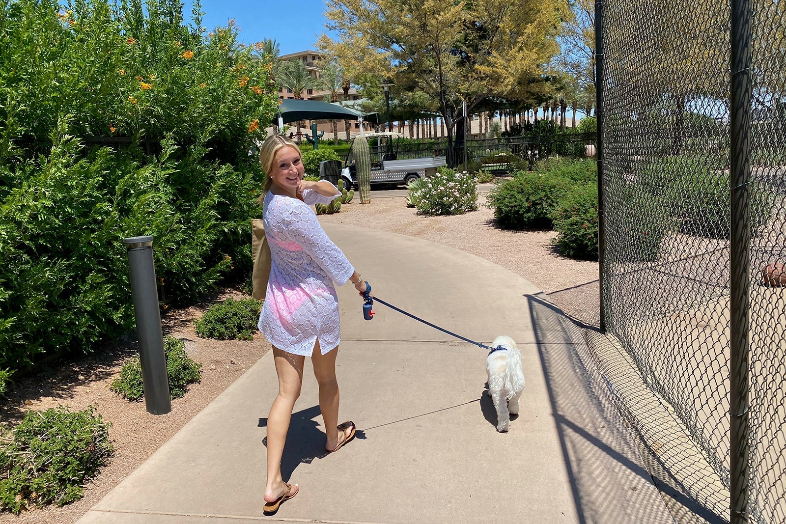 a dog at The Westin Kierland in Scottsdale, Arizona