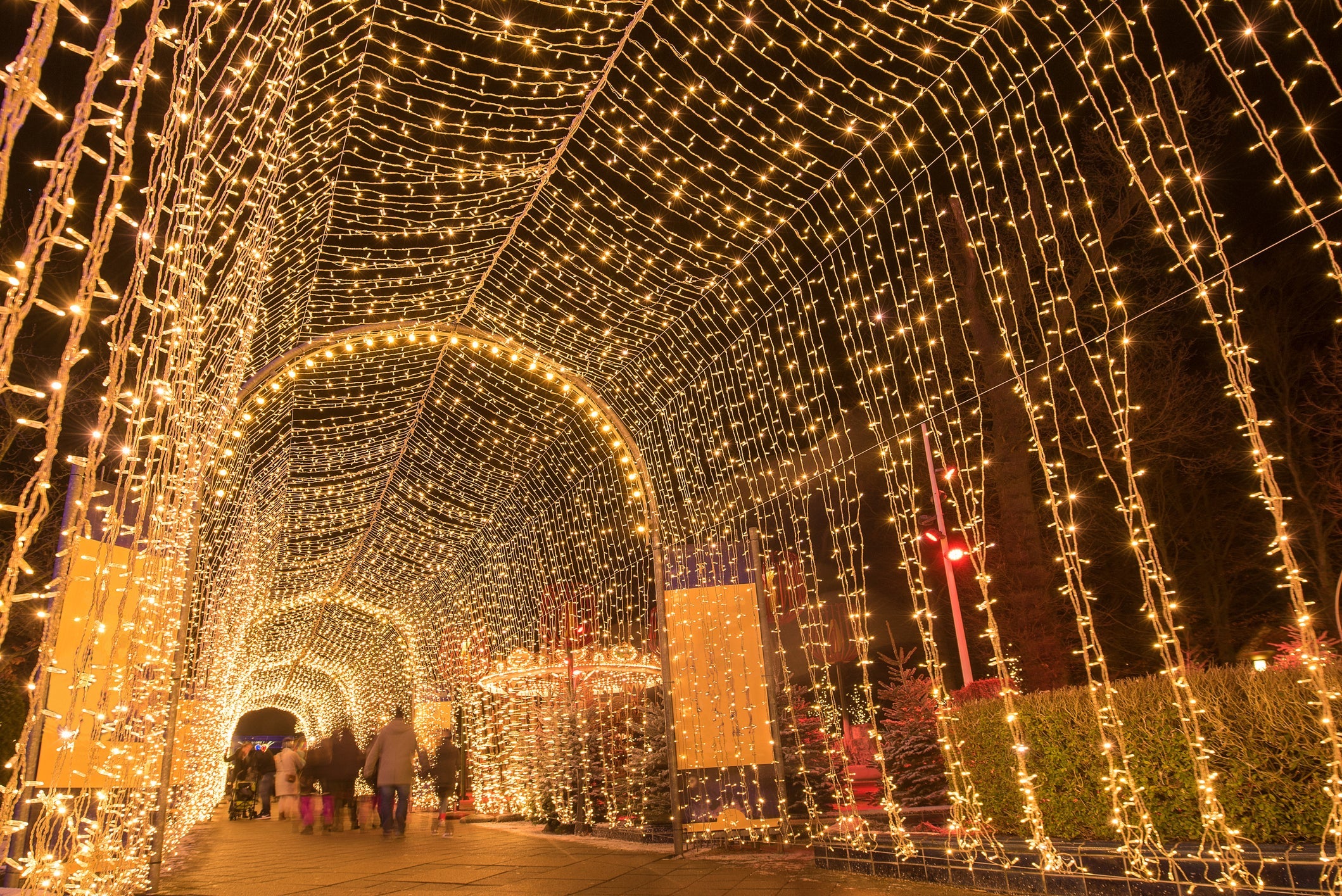 Our guide to 13 of the best holiday light shows in the US