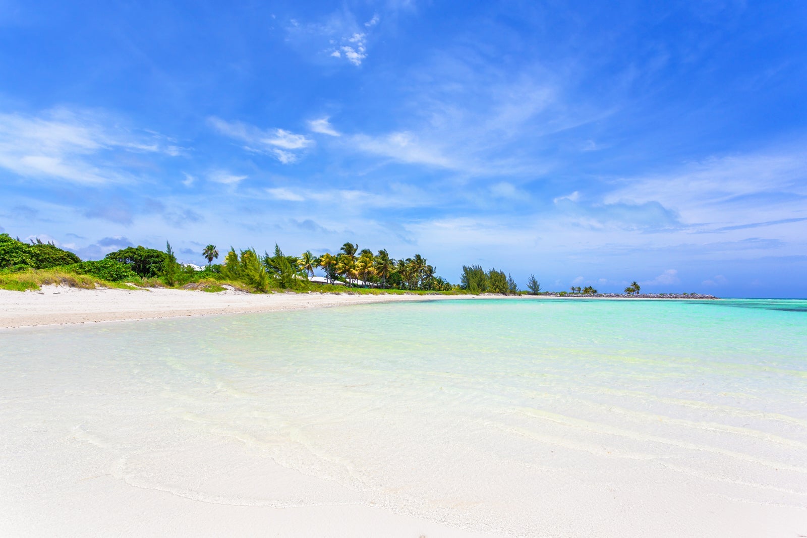 Beach and ocean