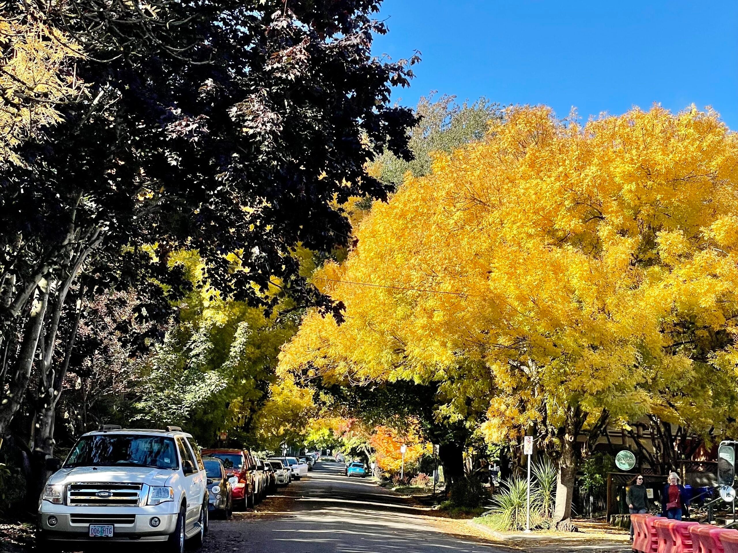 portland oregon