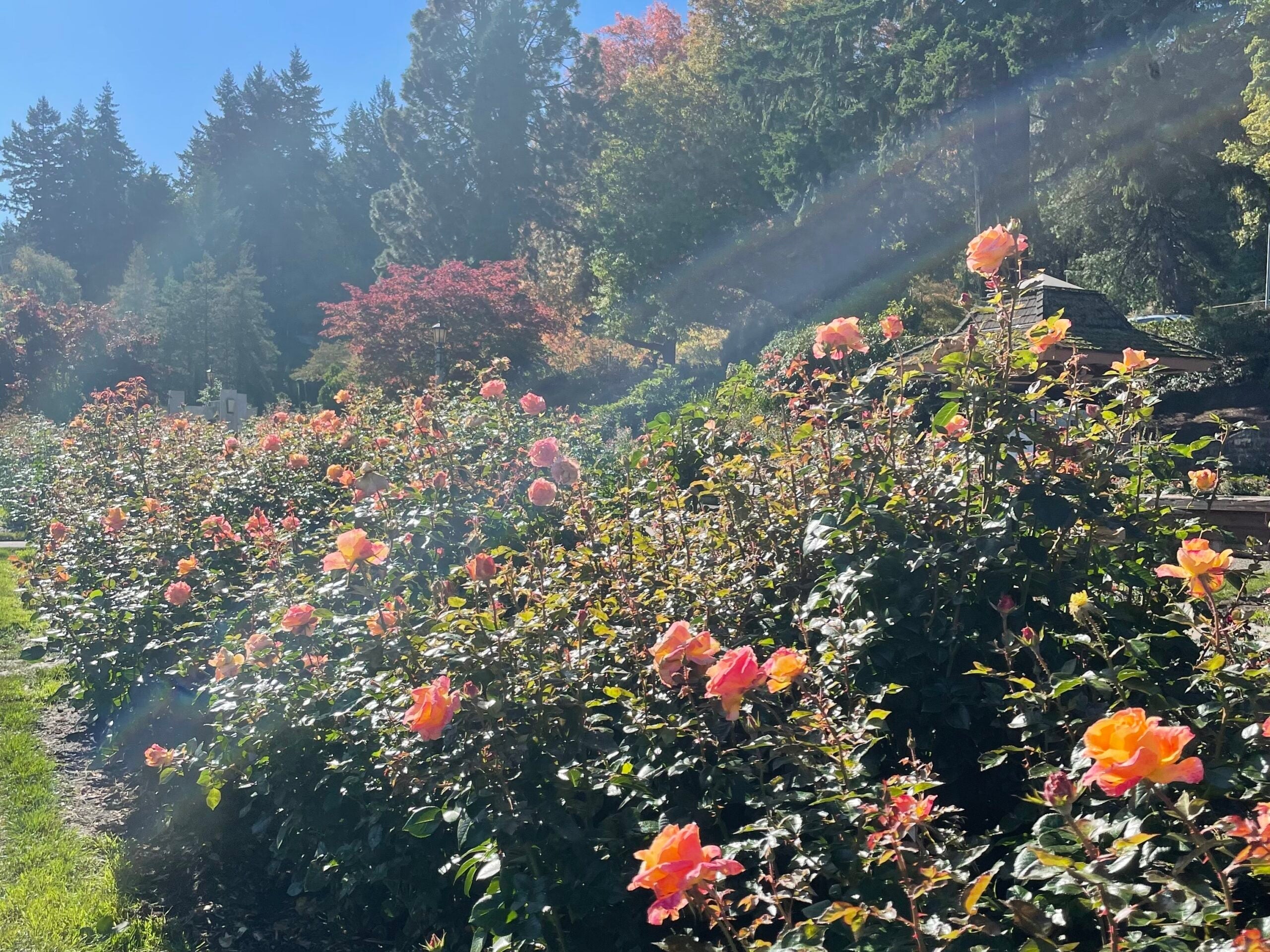 portland oregon