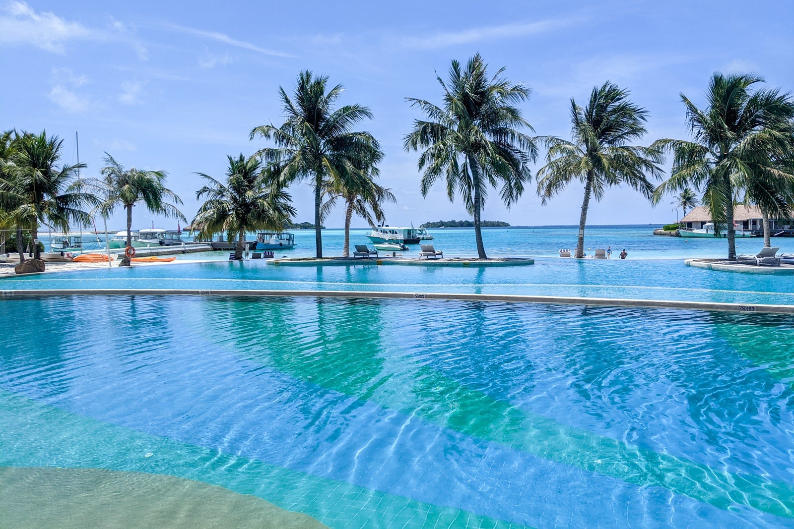 a hotel pool surrounded by ocean and palm trees