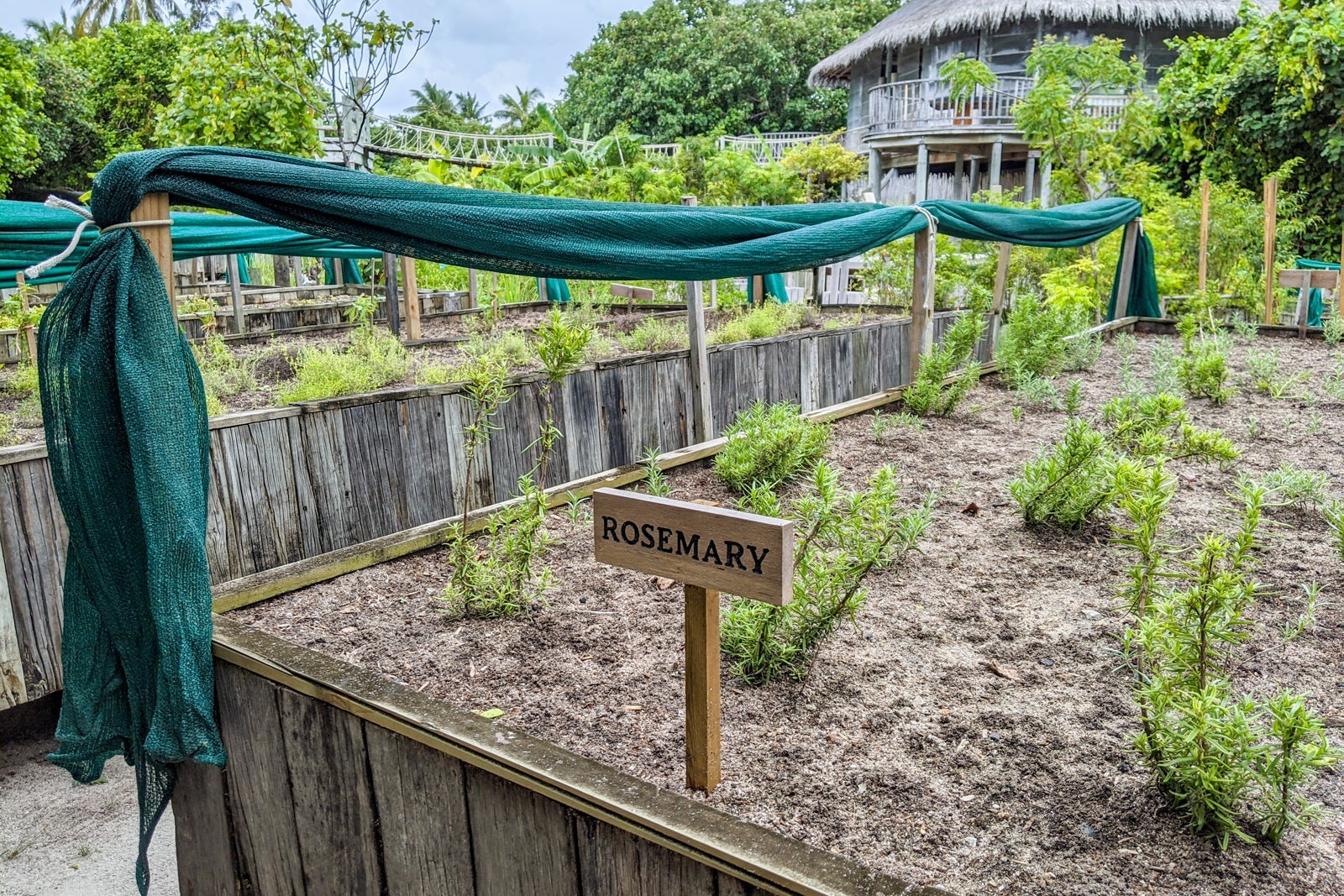 Garden at Six Senses