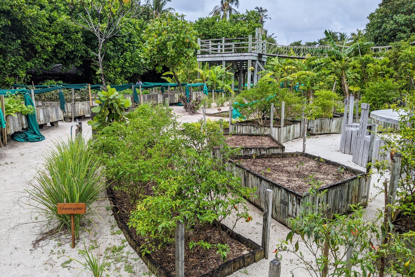Garden at Six Senses