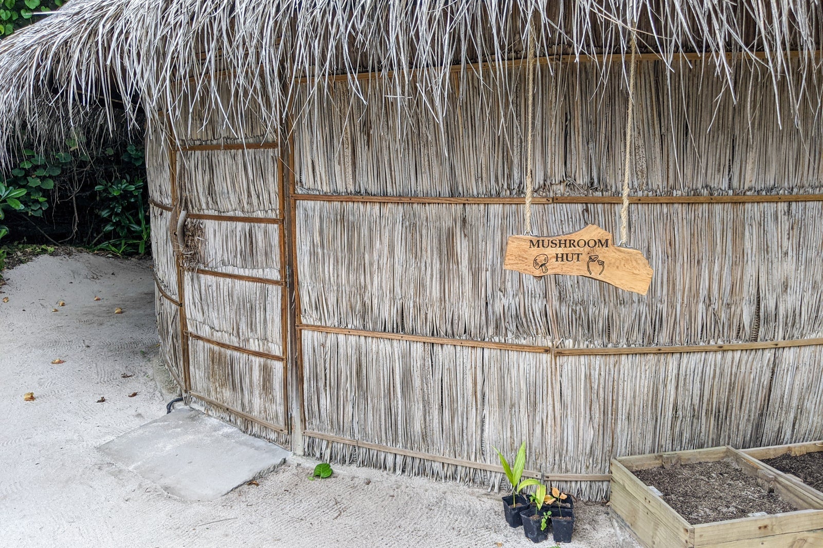 Mushroom Hut at Six Senses Laamu
