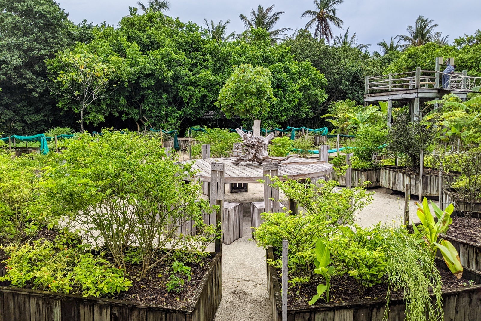 Garden at Six Senses Laamu