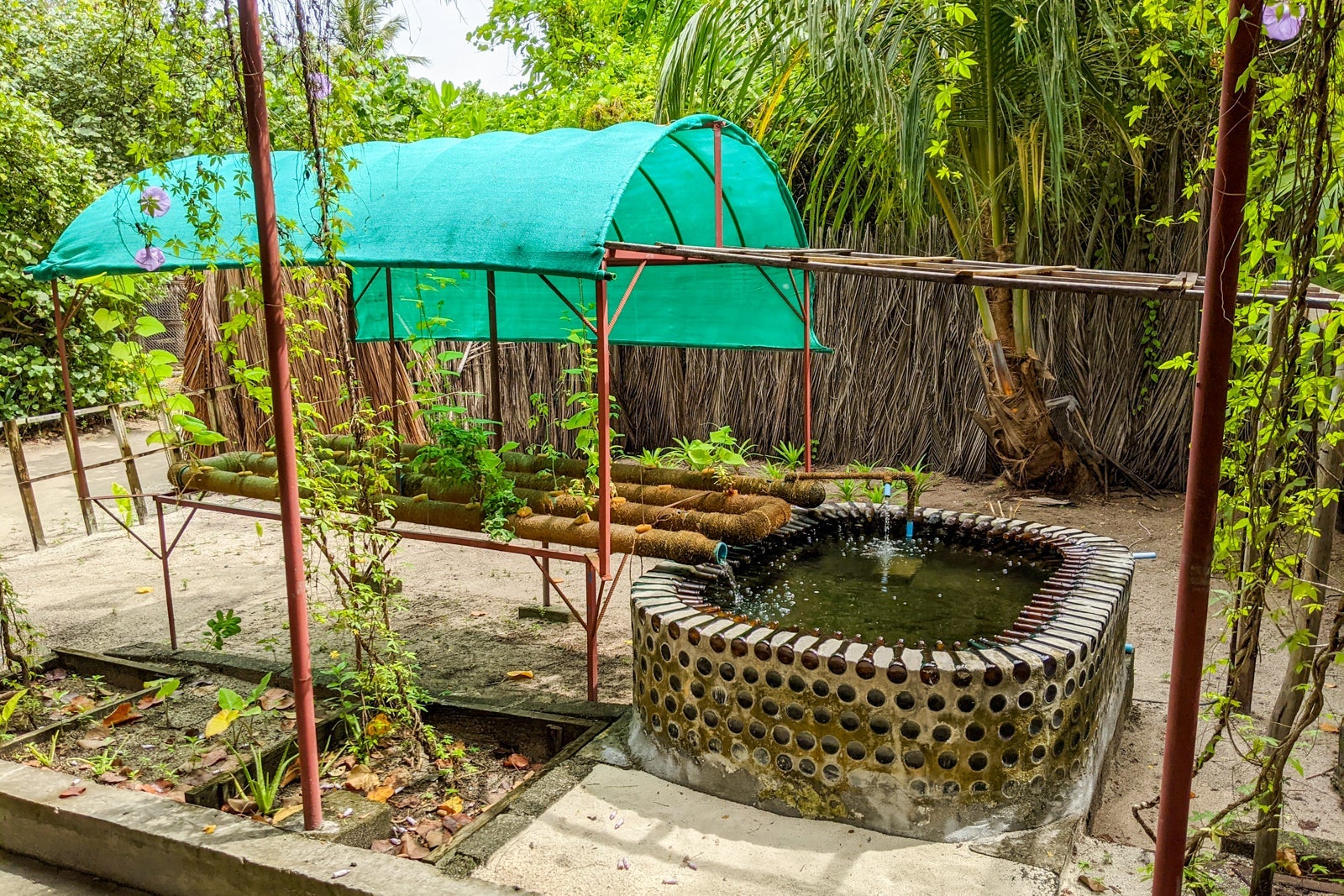 Sustainable growing solution at Six Senses Laamu