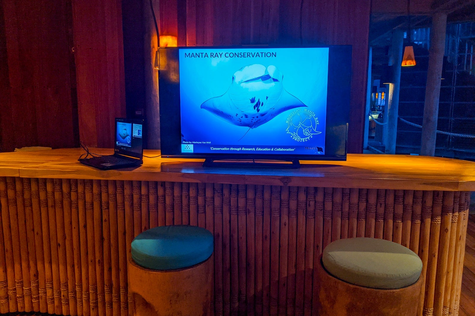 Marine biologist talk about manta rays