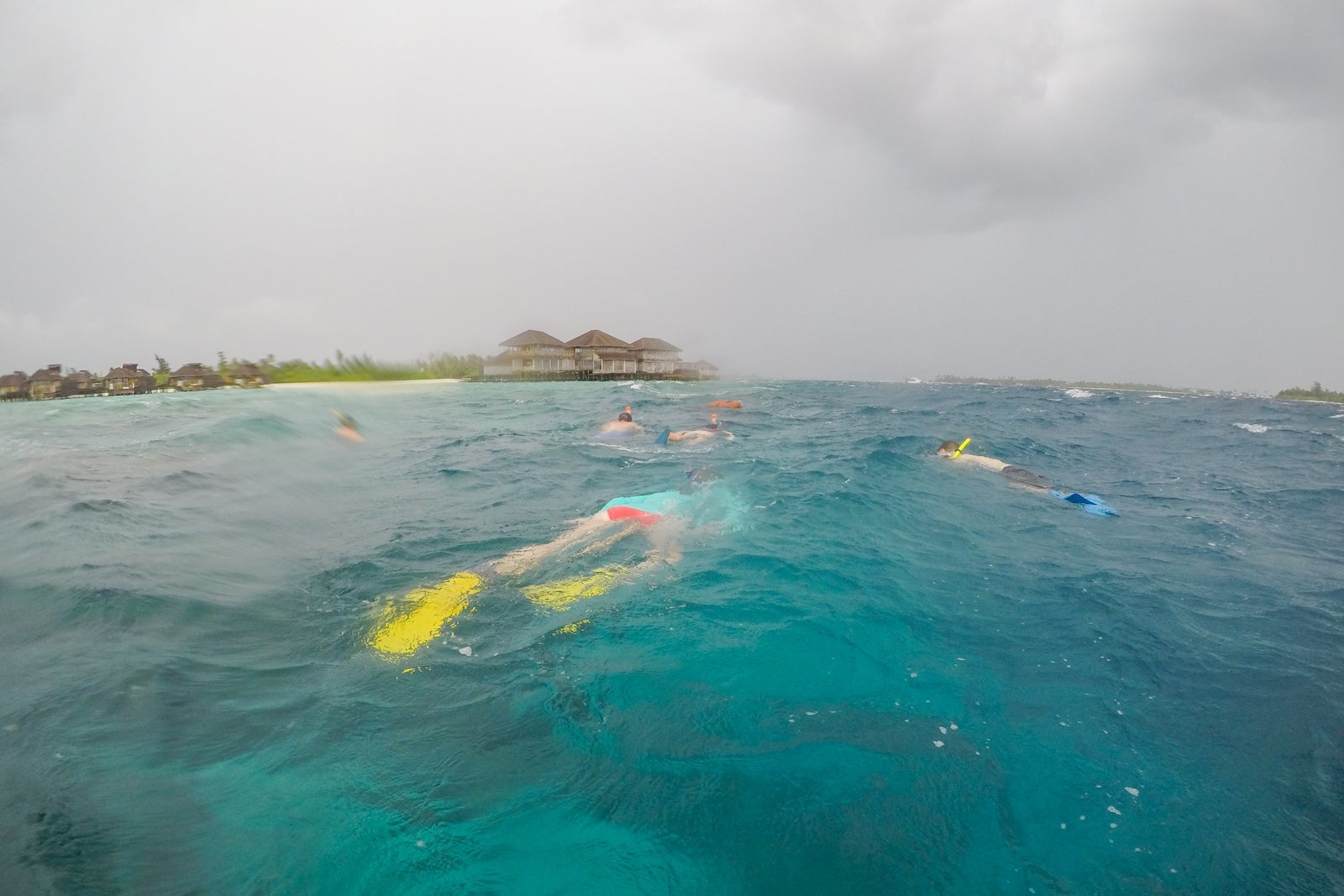 House reef snorkeling