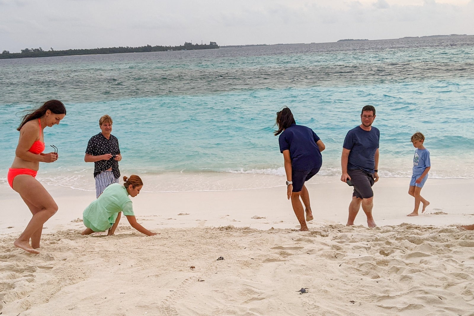 Sea turtles at Six Senses Laamu