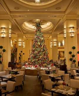 Christmas tree in Chicago