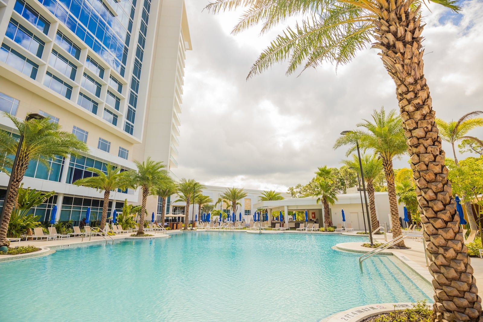 pool with palm trees