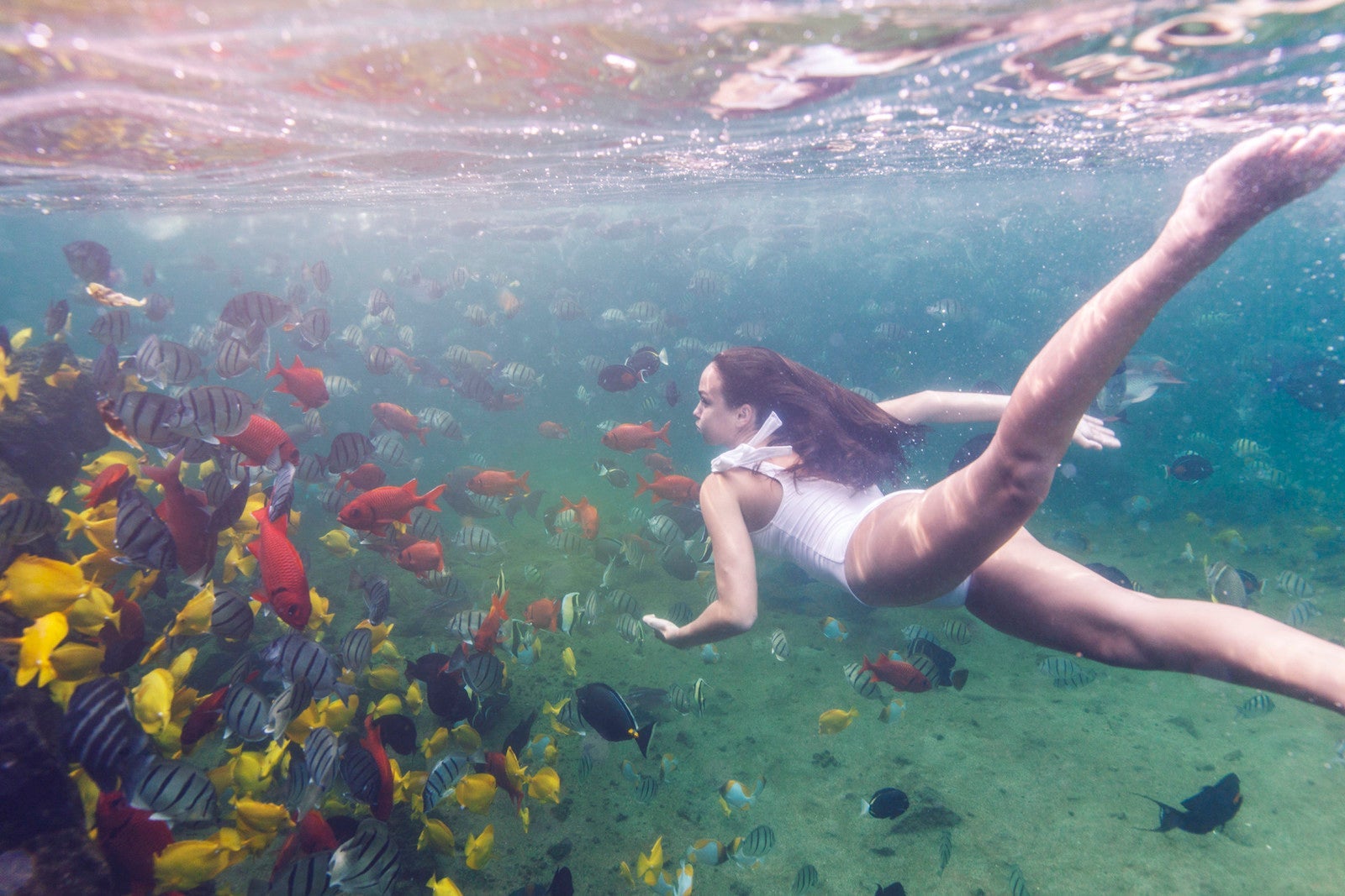 woman swimming with fish underwater