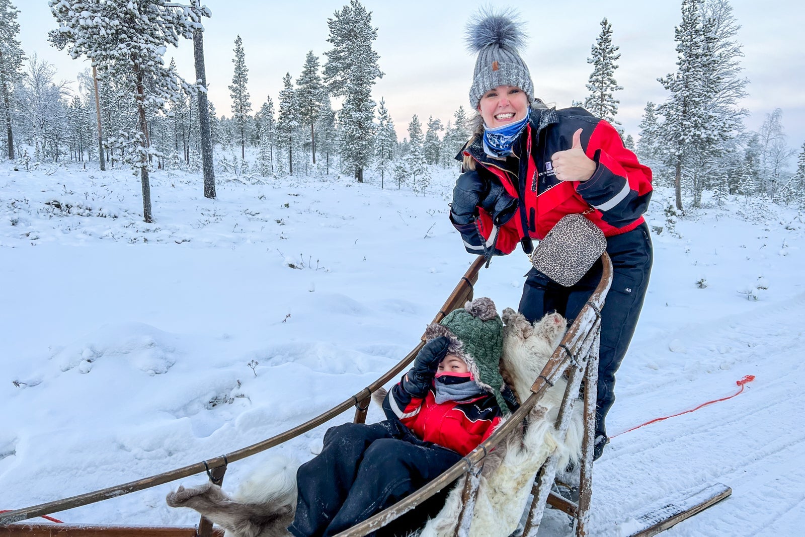 dogsledding