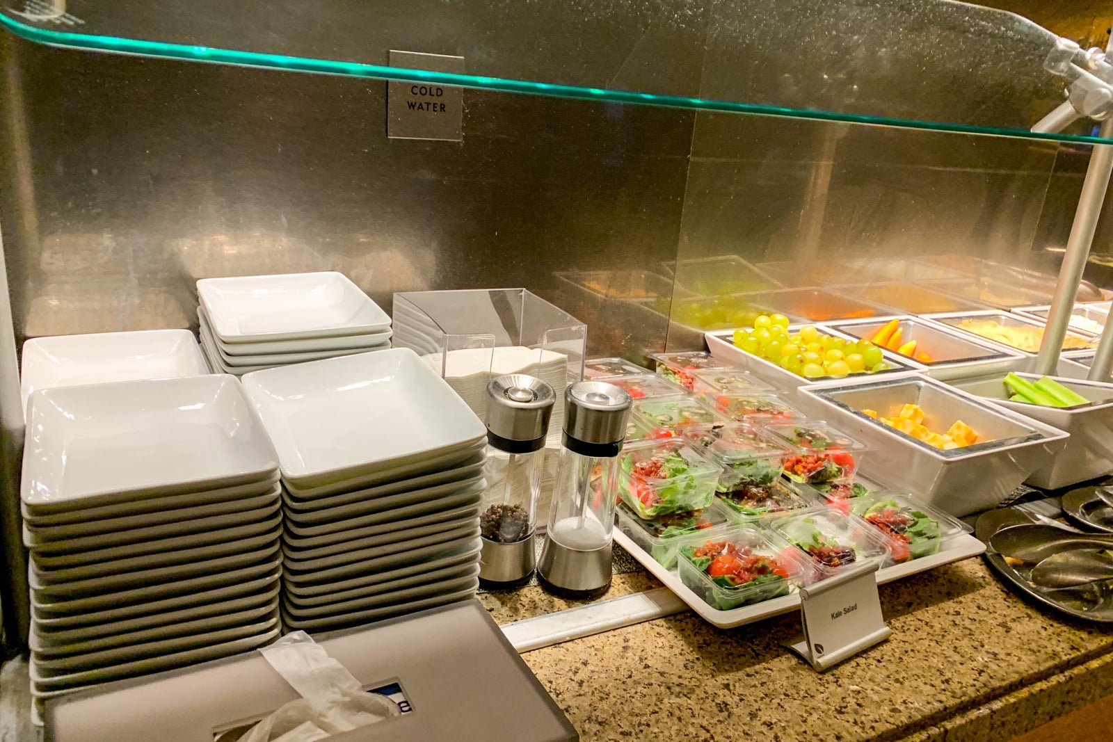 AA Admirals Club DFW Terminal C