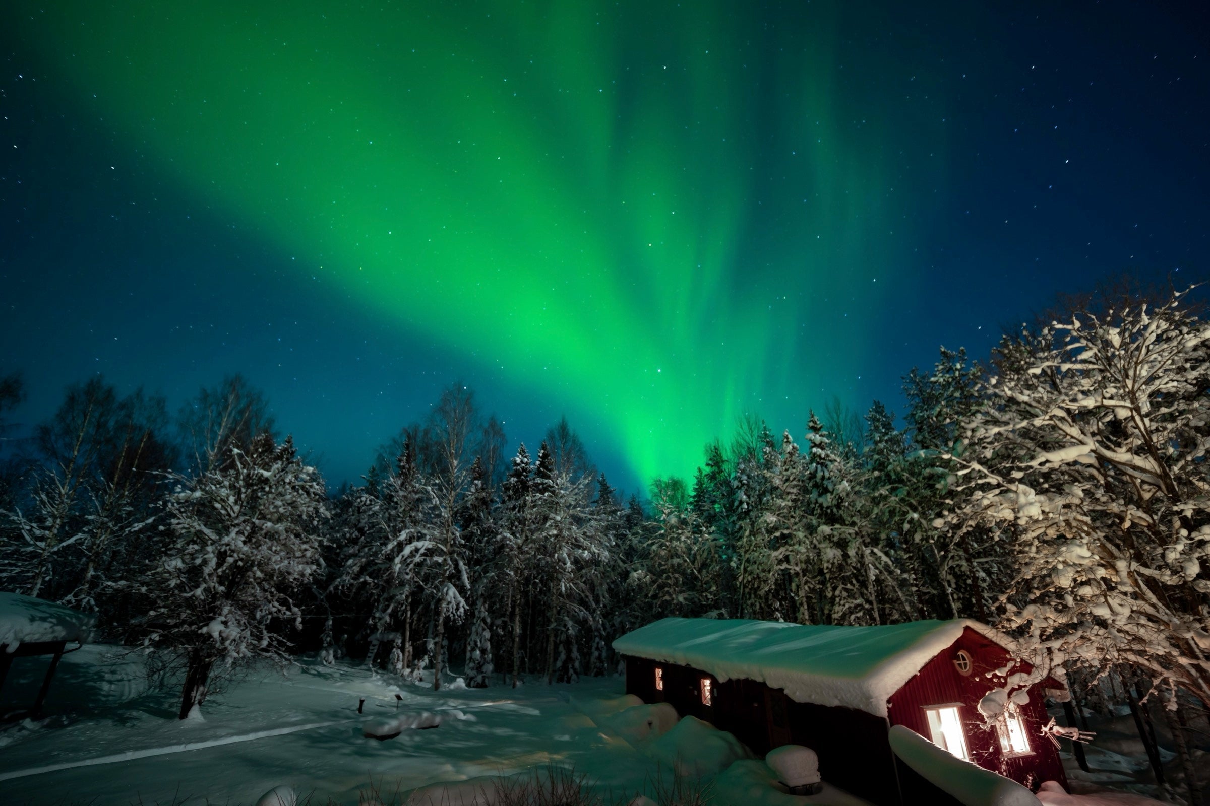 Northern Lights over the Stockholm Tree Hotel