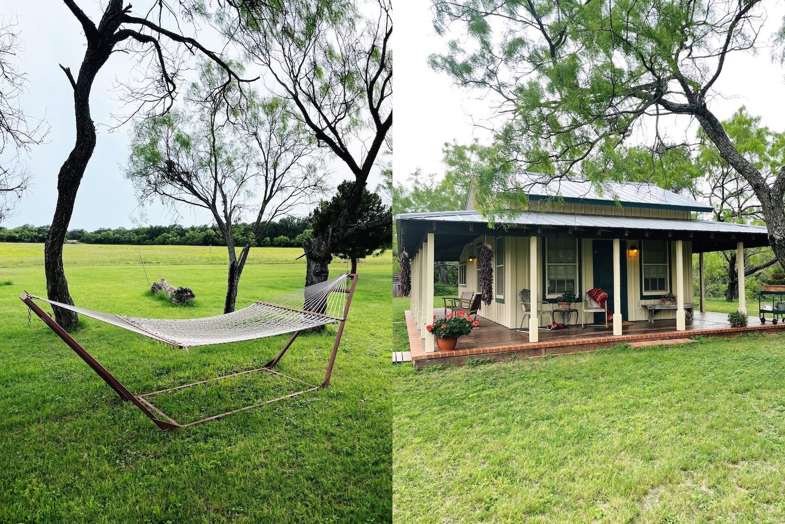 Left: hammock in green grass field; right: small house with mesquite tree and wrap around porch