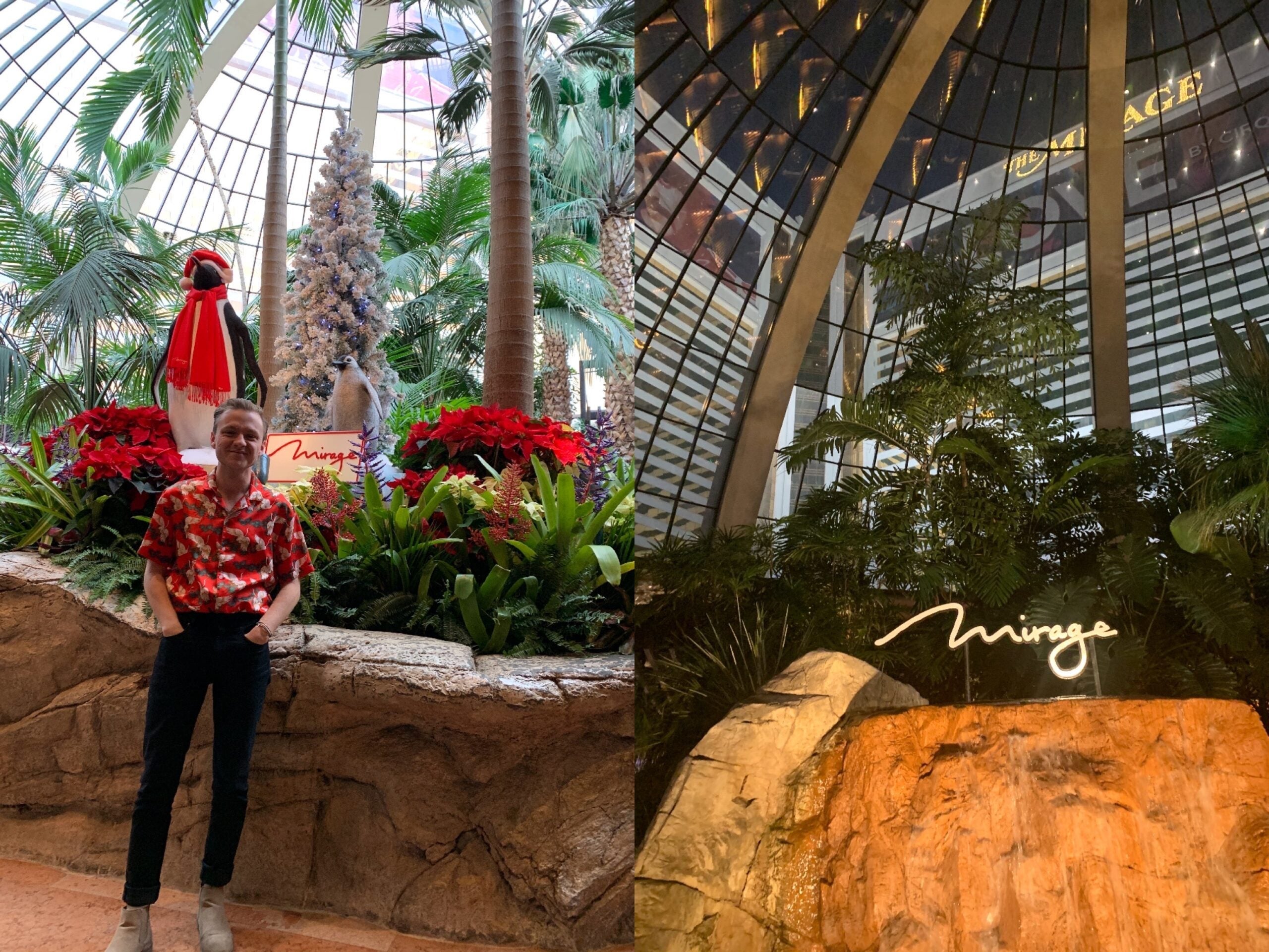 left: young man standing in front of penguin in resort: right; large glass dome with "Mirage" sign on rock