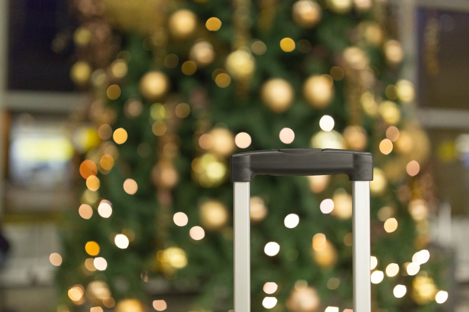 Suitcase with christmas tree in background