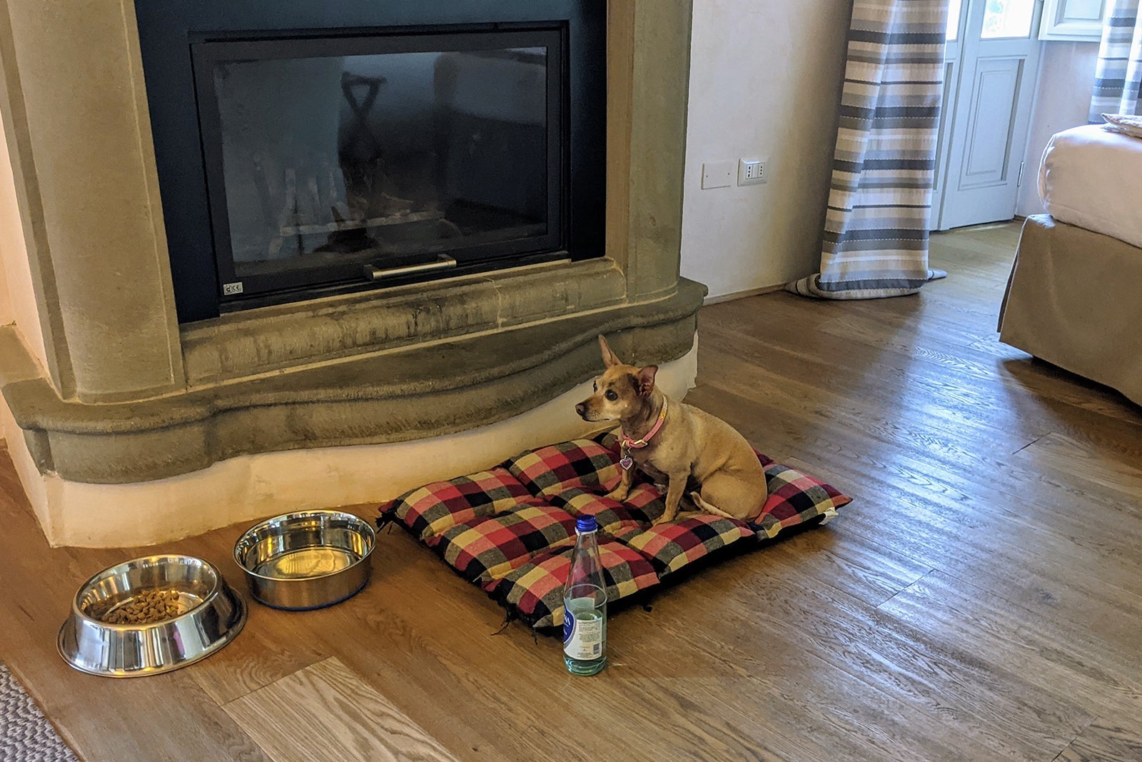 A dog and his bed at an Italian hotel