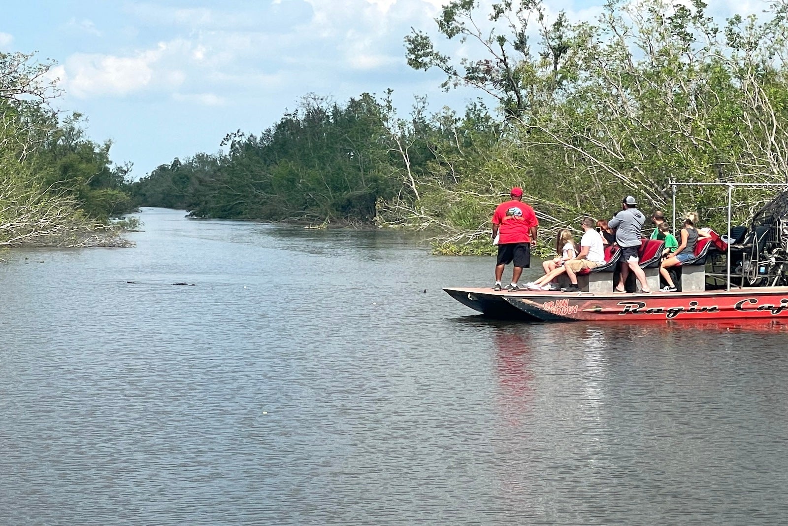 people on airboat in swamp looking at alligator