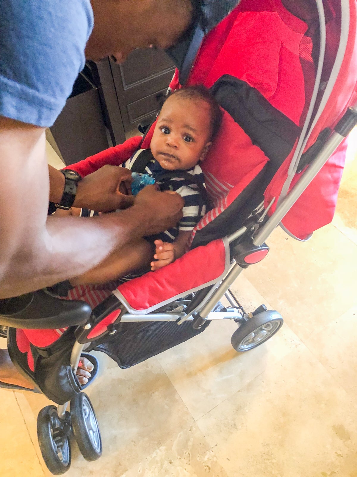 Baby being strapped into a red stroller.