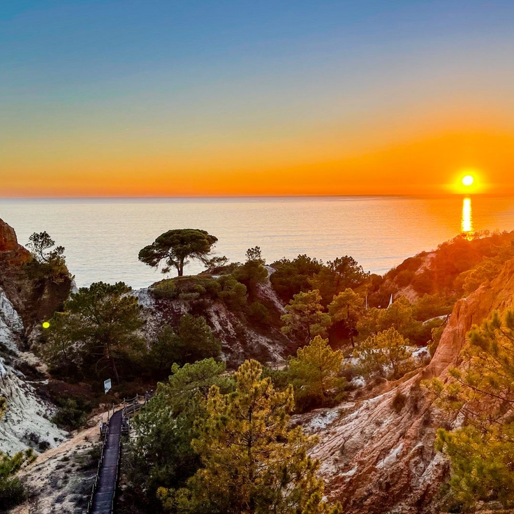 Marriott Bonvoy Bold Credit Card review: Silver Elite status for no annual fee