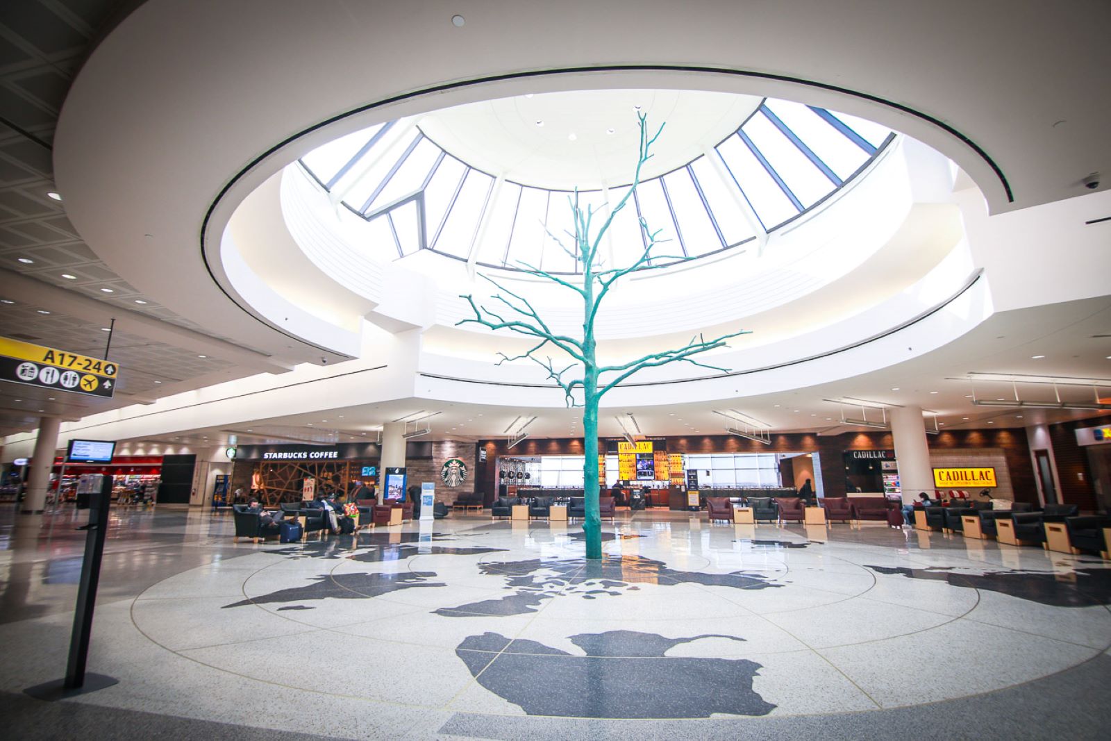 Countree Music by Terry Allen