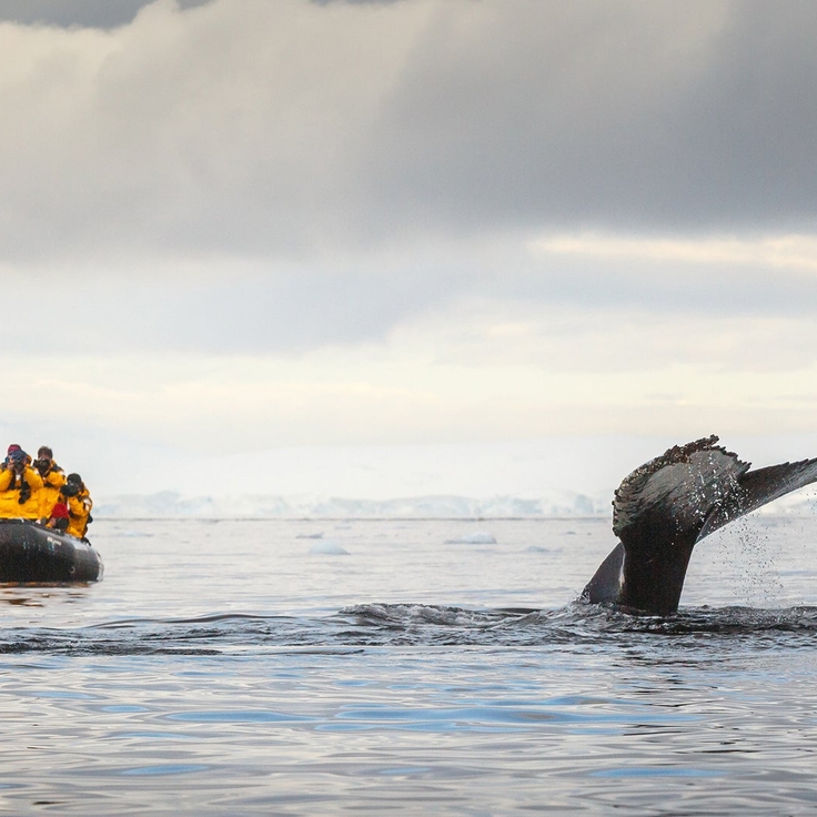 Antarctica reading list: The 8 best books to read before a trip
