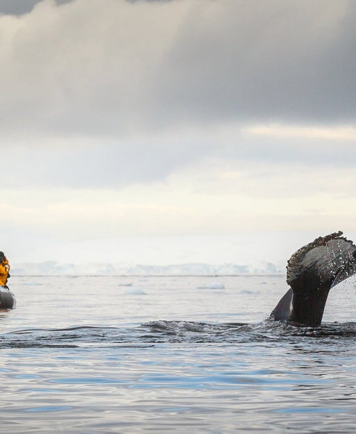 Antarctica reading list: The 8 best books to read before a trip