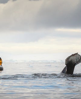 Antarctica reading list: The 8 best books to read before a trip