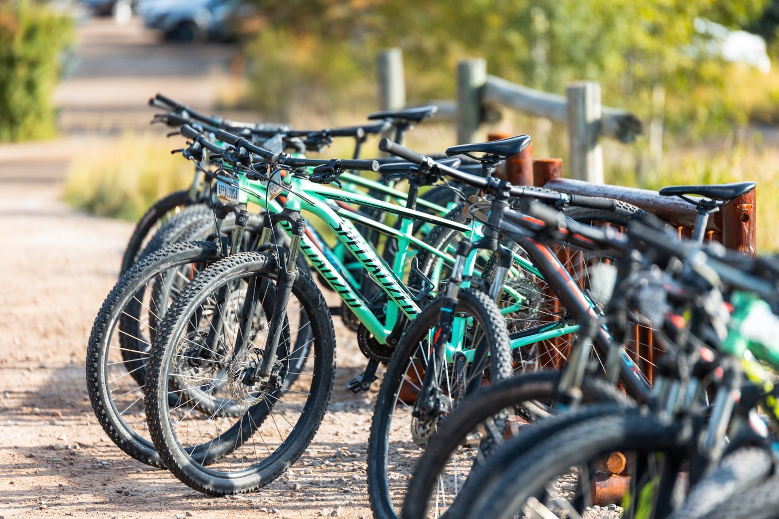 Photo of complimentary bicycles lined up outside.