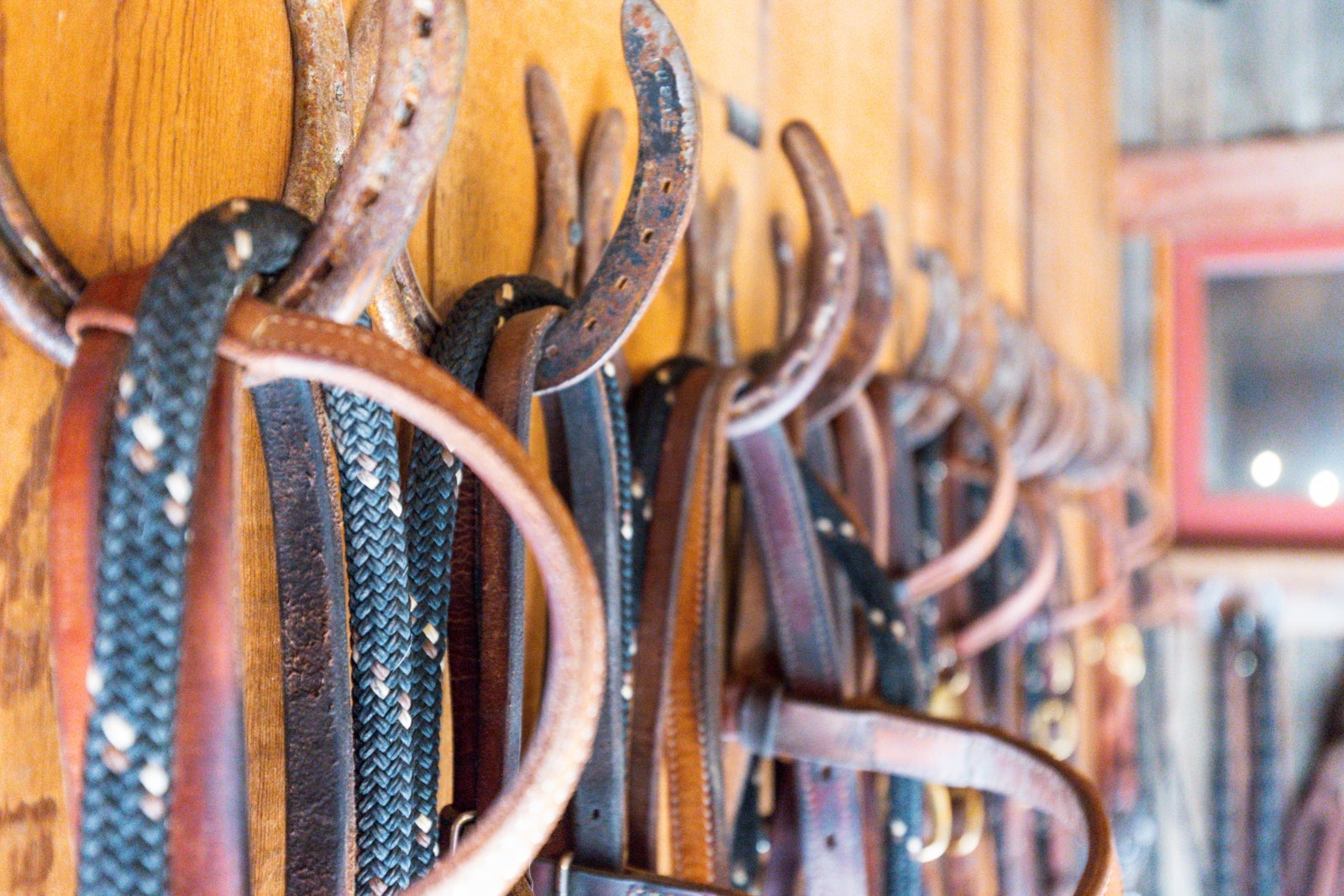 Photo of horse riding equipment.