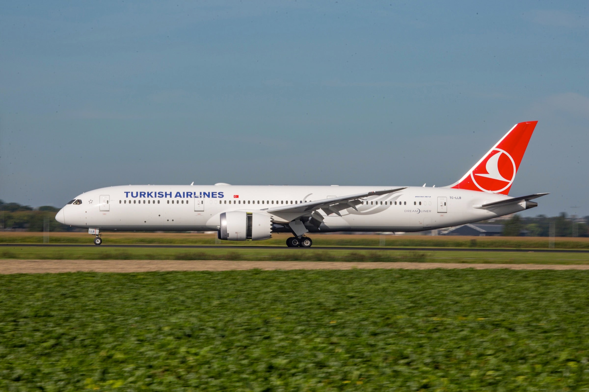 Turkish Airlines Boeing 787 on the runway in Amsterdam