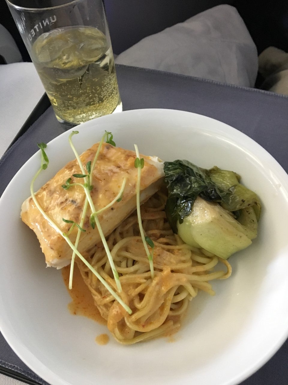 United Airlines domestic first class meal