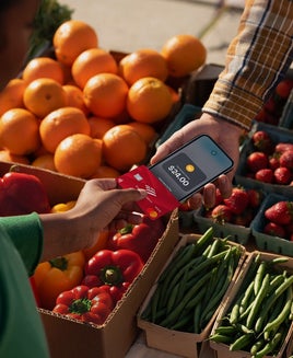 American Express launches 'Pay with Points' through Apple Pay