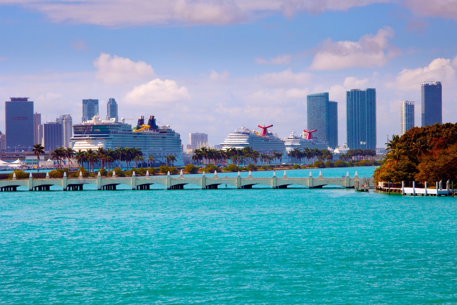 Cruise ships lined up at Miami cruise port