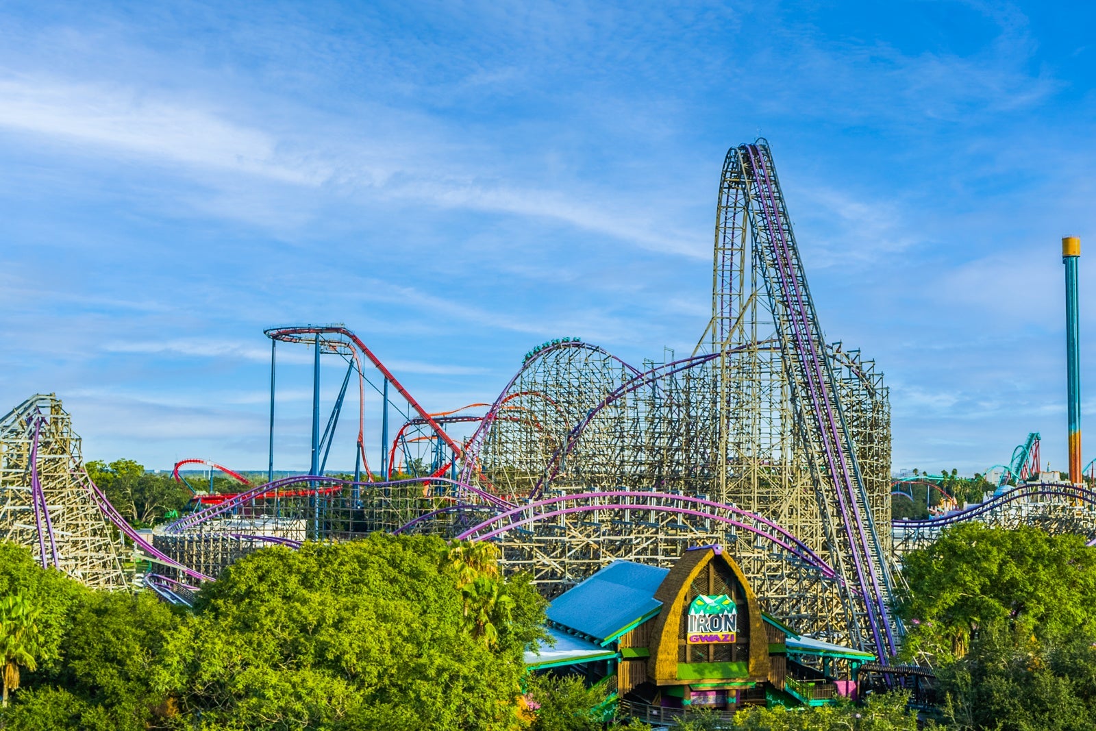 Iron Gwazi roller coaster against Busch Gardens skyline.