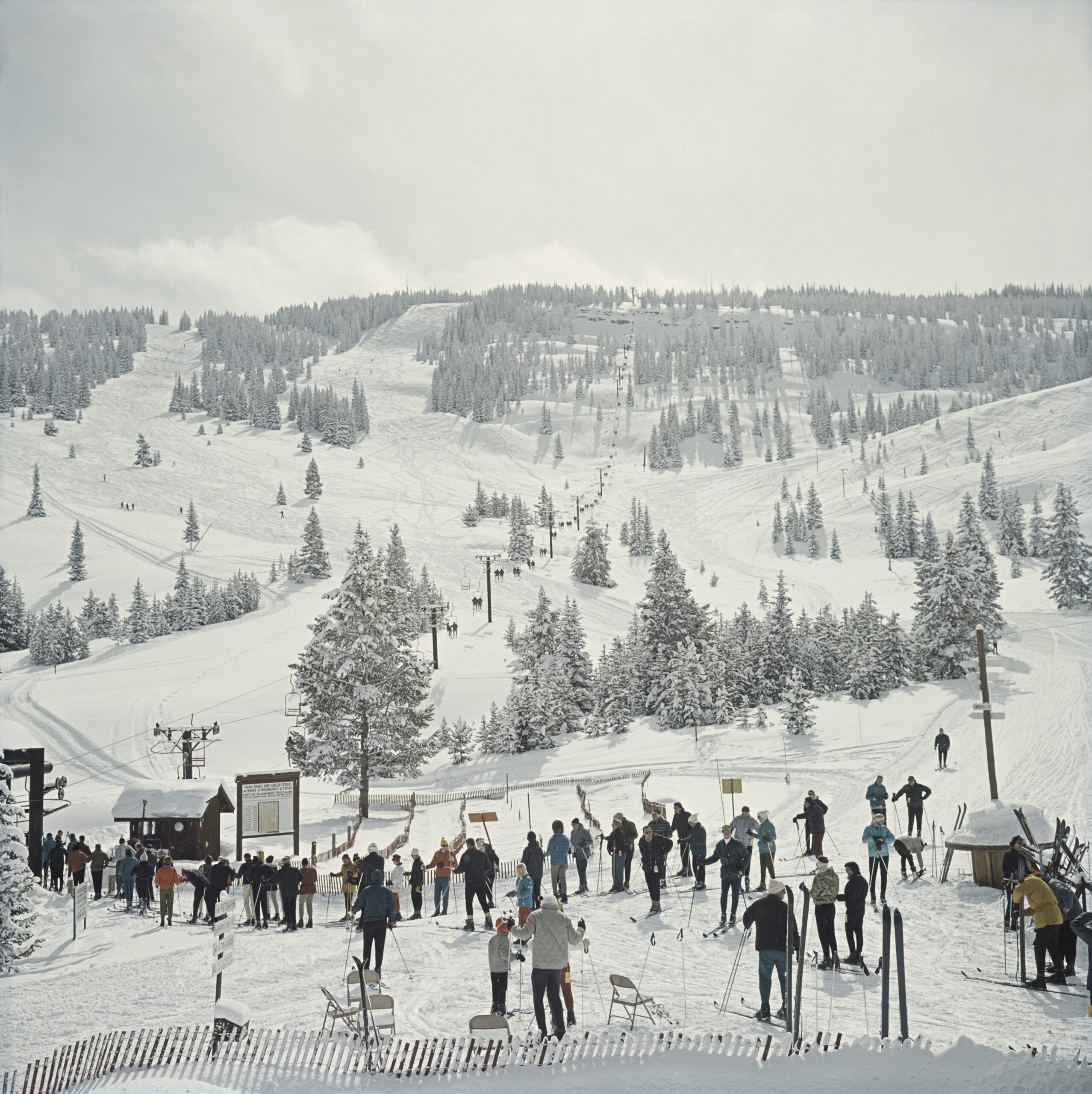skiers in line