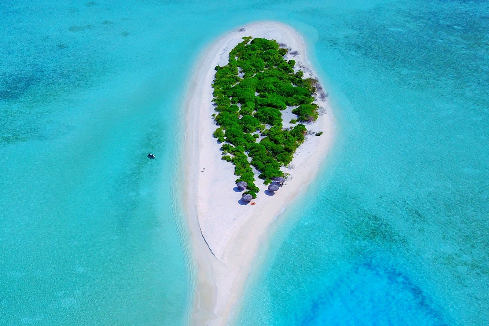 aerial photo of island in the Maldives