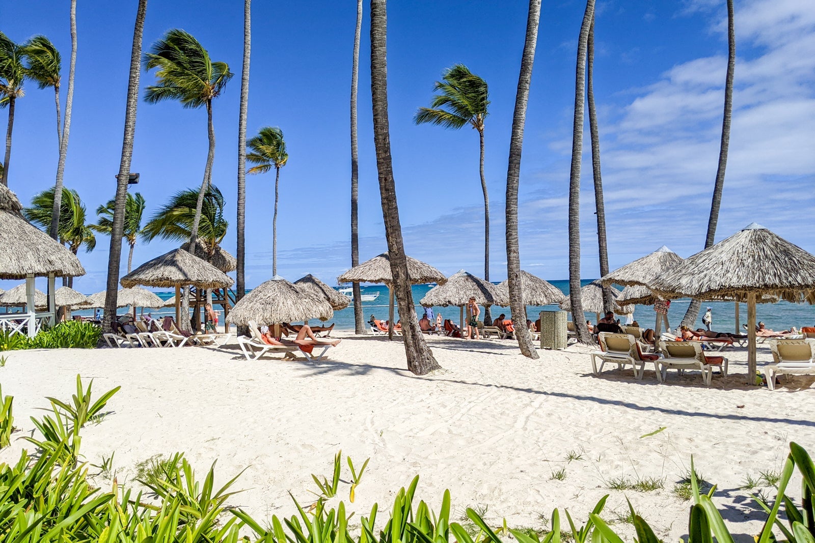 Dreams Palm Beach Punta Cana