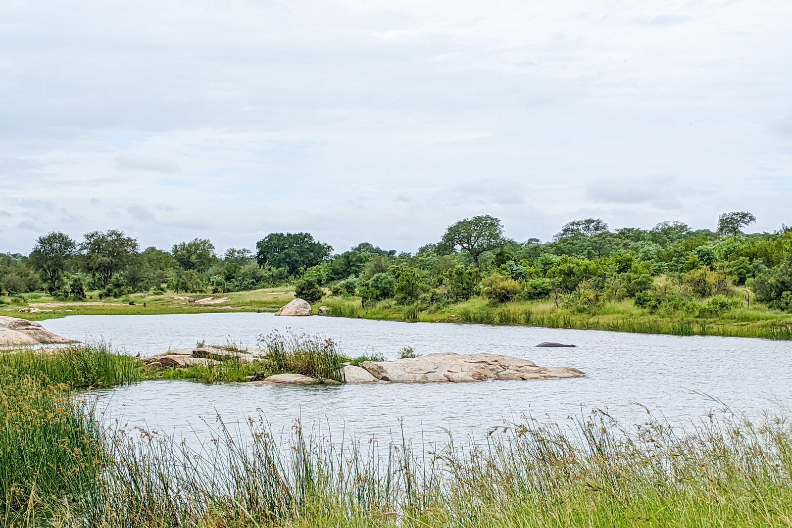 Kruger National Park