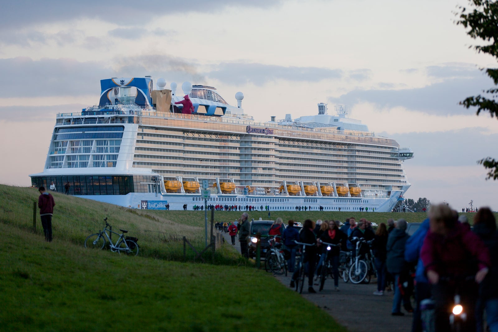 Quantum of the Seas. cruise ship