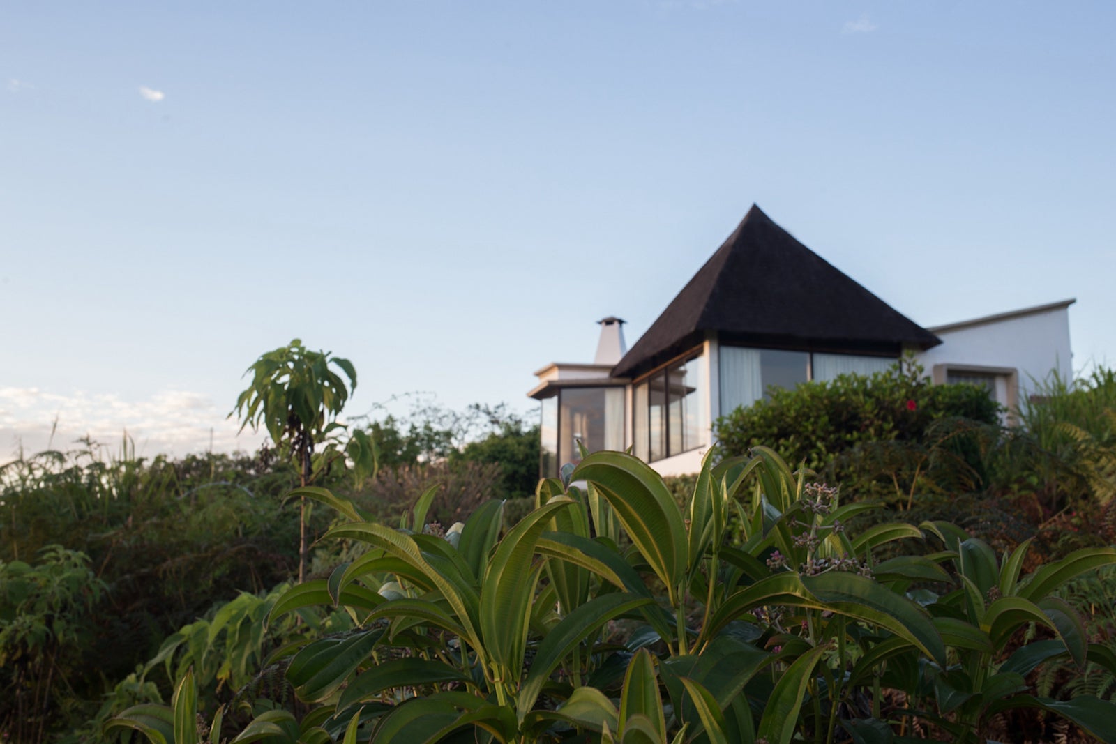 villa up on hill behind green plants