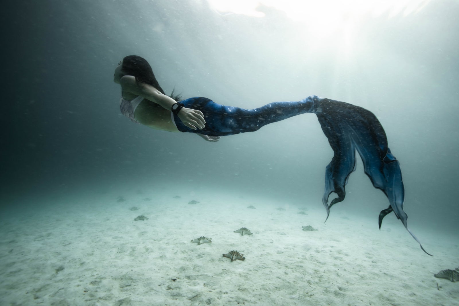 Mermaid swimming in the water