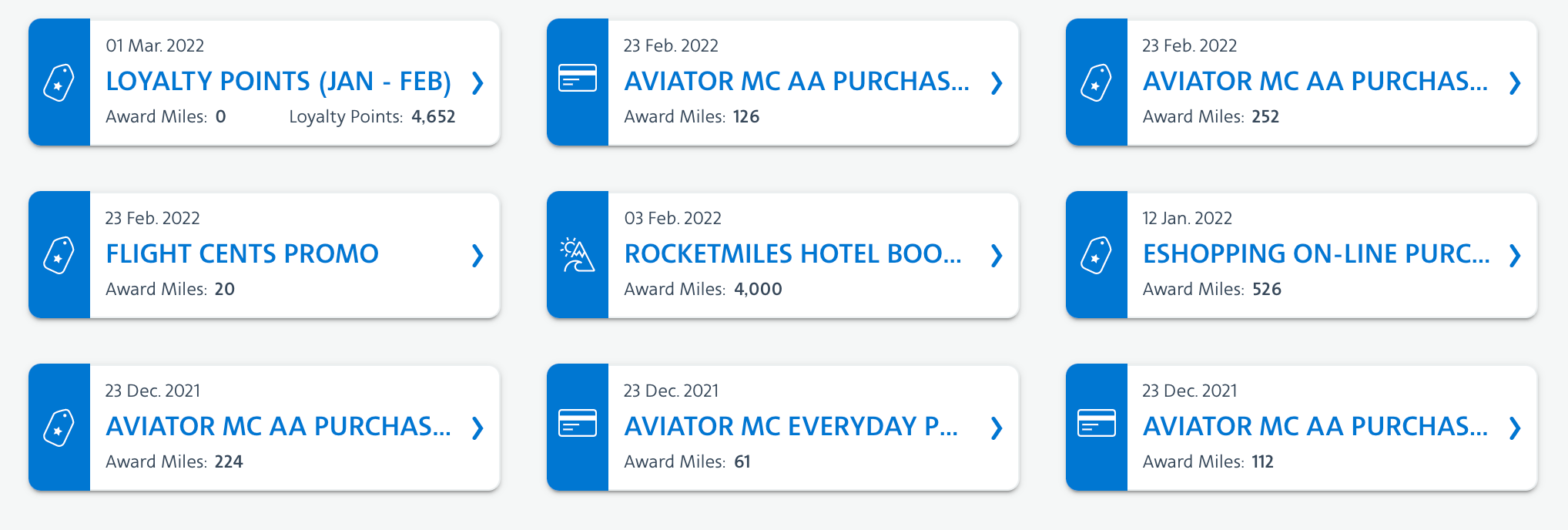 Clint's Loyalty Points earnings for 2022. (Screenshot courtesy American Airlines)