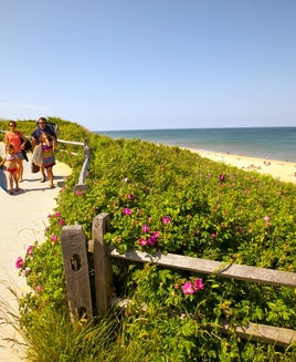 The best coastal hotels to visit during your next seaside getaway
